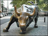 Charging Bull
